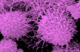 Institut für Nanospektroskopie