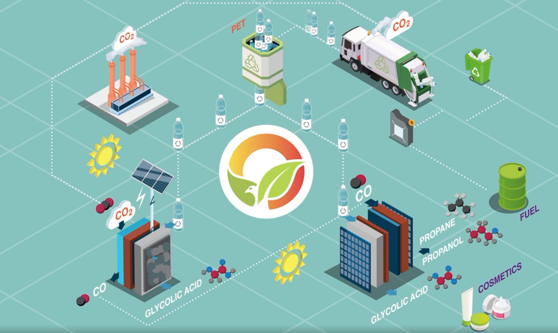 pheonix - enlarged view