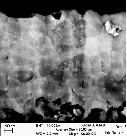 SEM image - vergrößerte Ansicht