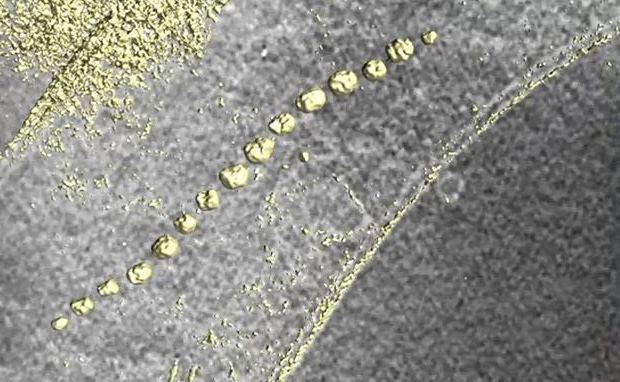 Die magnetischen Nanoteilchen bilden im Innern der Zelle eine Kette, zeigt die Elektronenkryotomographie - vergrößerte Ansicht
