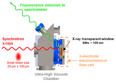 Schematics of the O�SE endstation in EMIL@BESSY II. An integrating photon detector at 45�collects the fluorescence photons emitted by the sample 