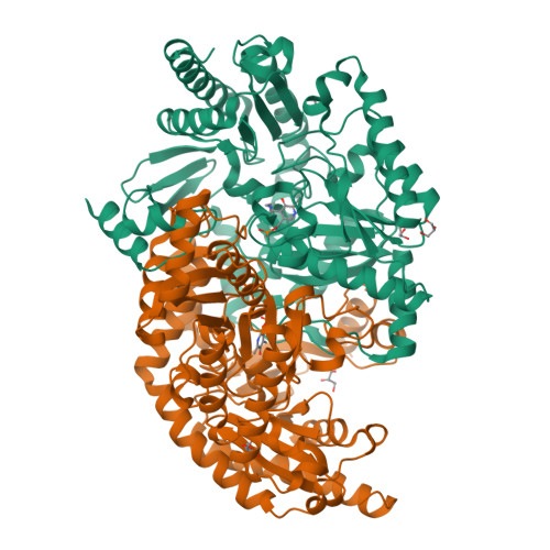 9CF4